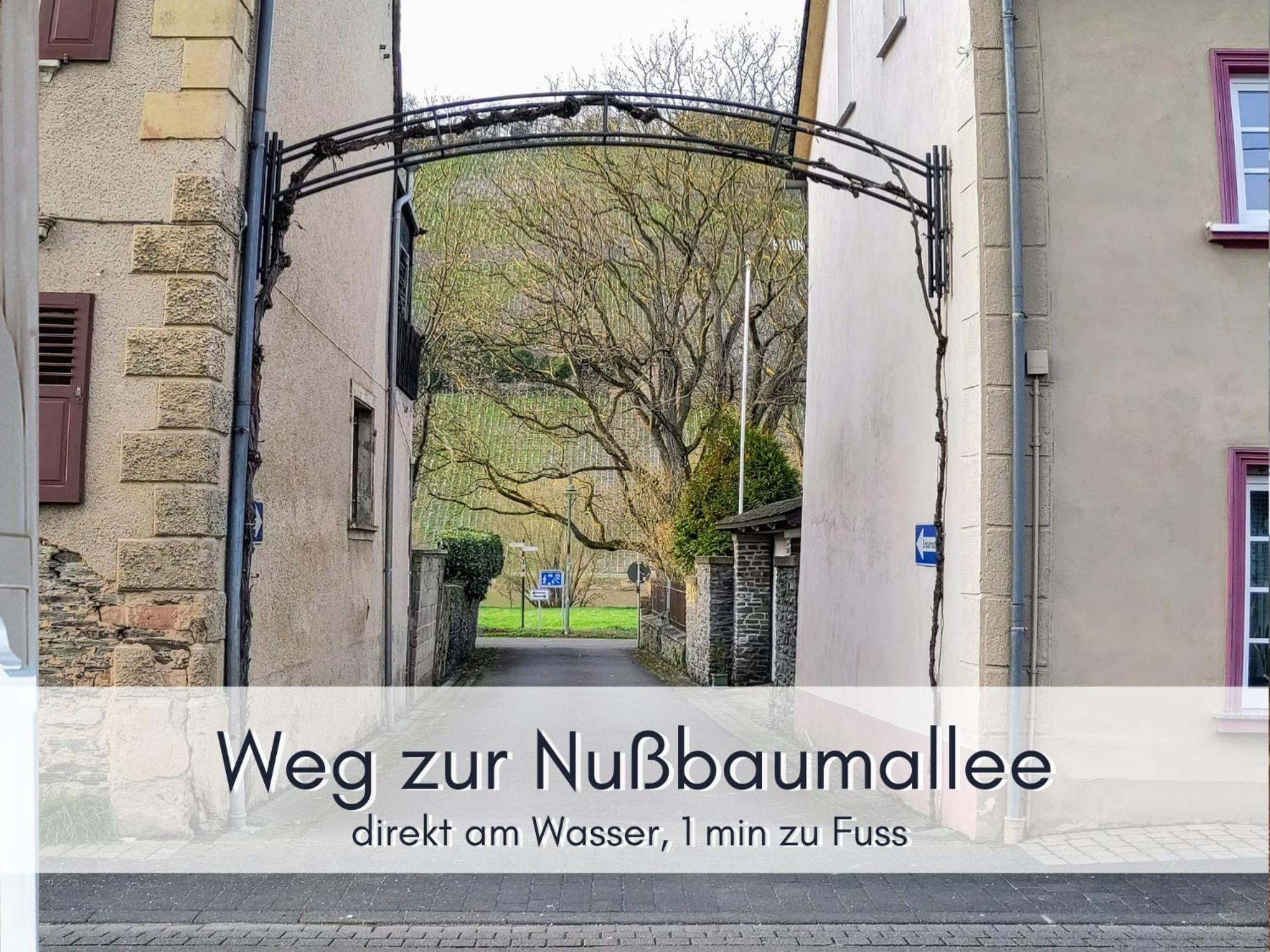 Komfort Fewo L Moselstay L Maximal 4 Personen Und Baby I Brauneberg Mosel I Wifi I Esterno foto