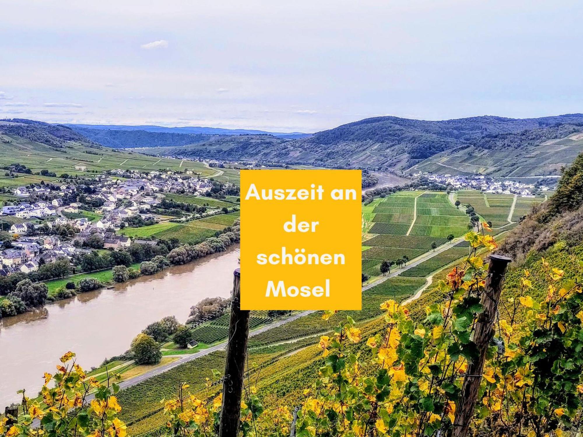 Komfort Fewo L Moselstay L Maximal 4 Personen Und Baby I Brauneberg Mosel I Wifi I Esterno foto
