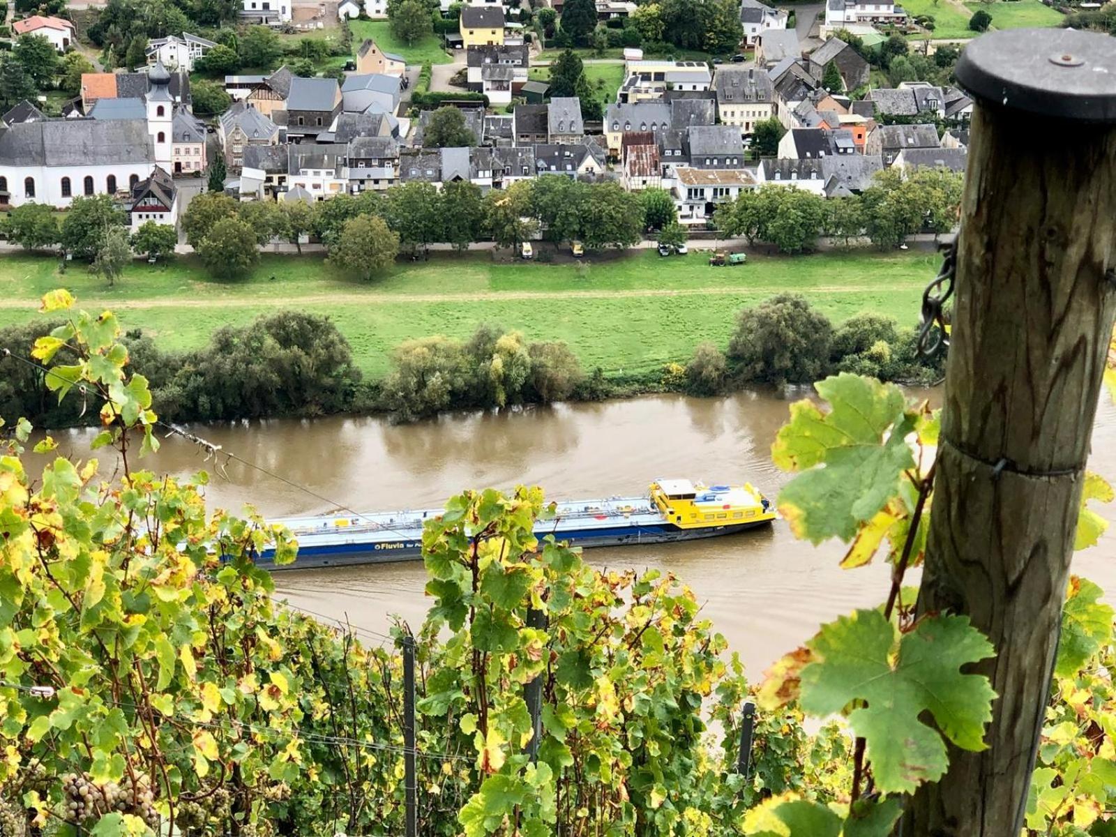 Komfort Fewo L Moselstay L Maximal 4 Personen Und Baby I Brauneberg Mosel I Wifi I Esterno foto